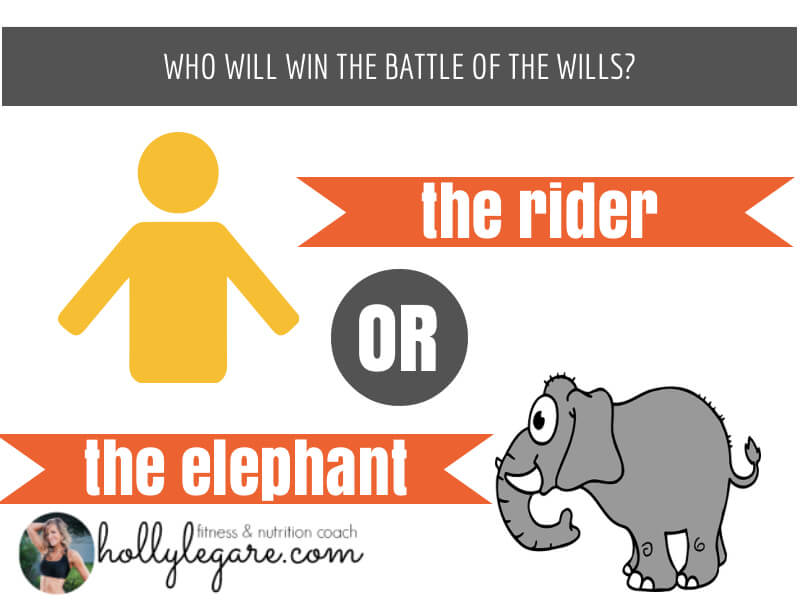 7 baby steps to health and weight loss_ rider vs. elephant