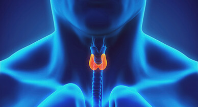 388x210_Medullary_Thyroid_Cancer_Statistics_Facts_and_You